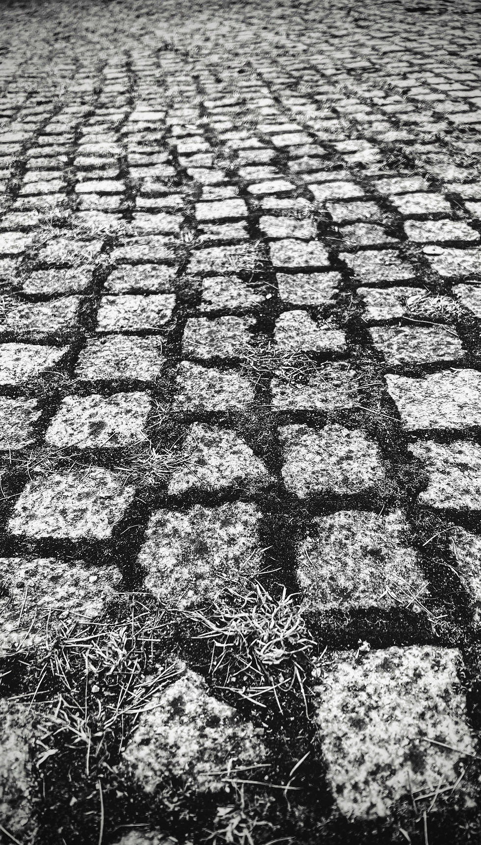 Hard Landscaping, cobbled path, using different materials in garden design