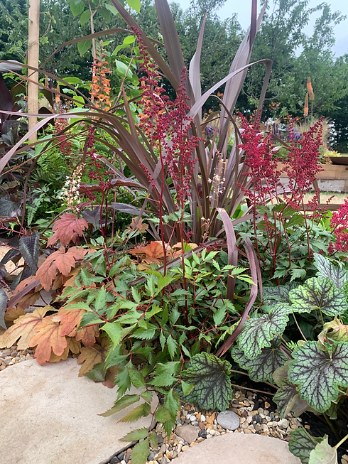 Beautiful Border planting detail