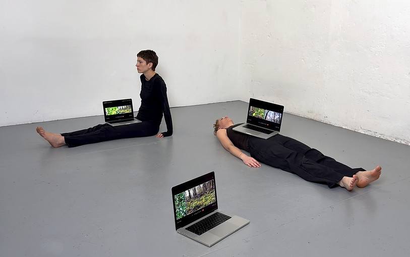 Installation 1_1.jpg