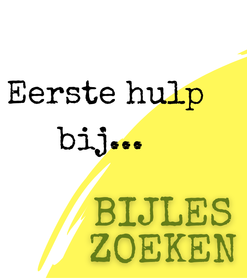 Eerste hulp bij... bijles zoeken!