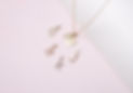 DSCF6590_0.jpg