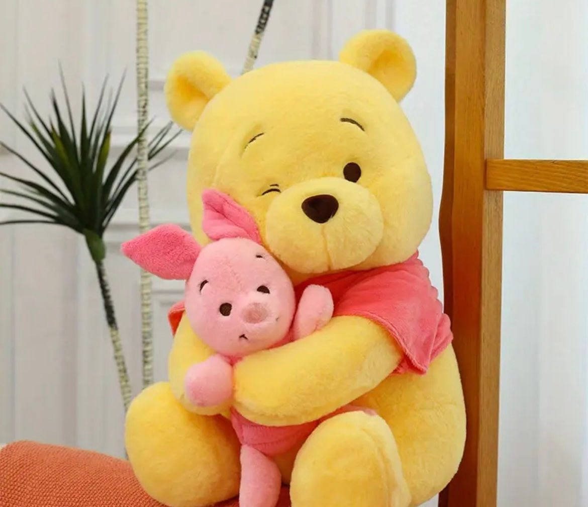 Winnie & piglet plush 