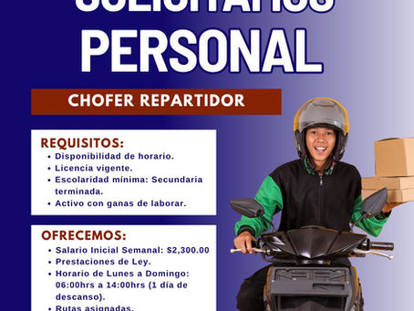 CHOFER REPARTIDOR