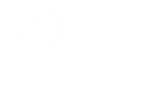 Flag.png