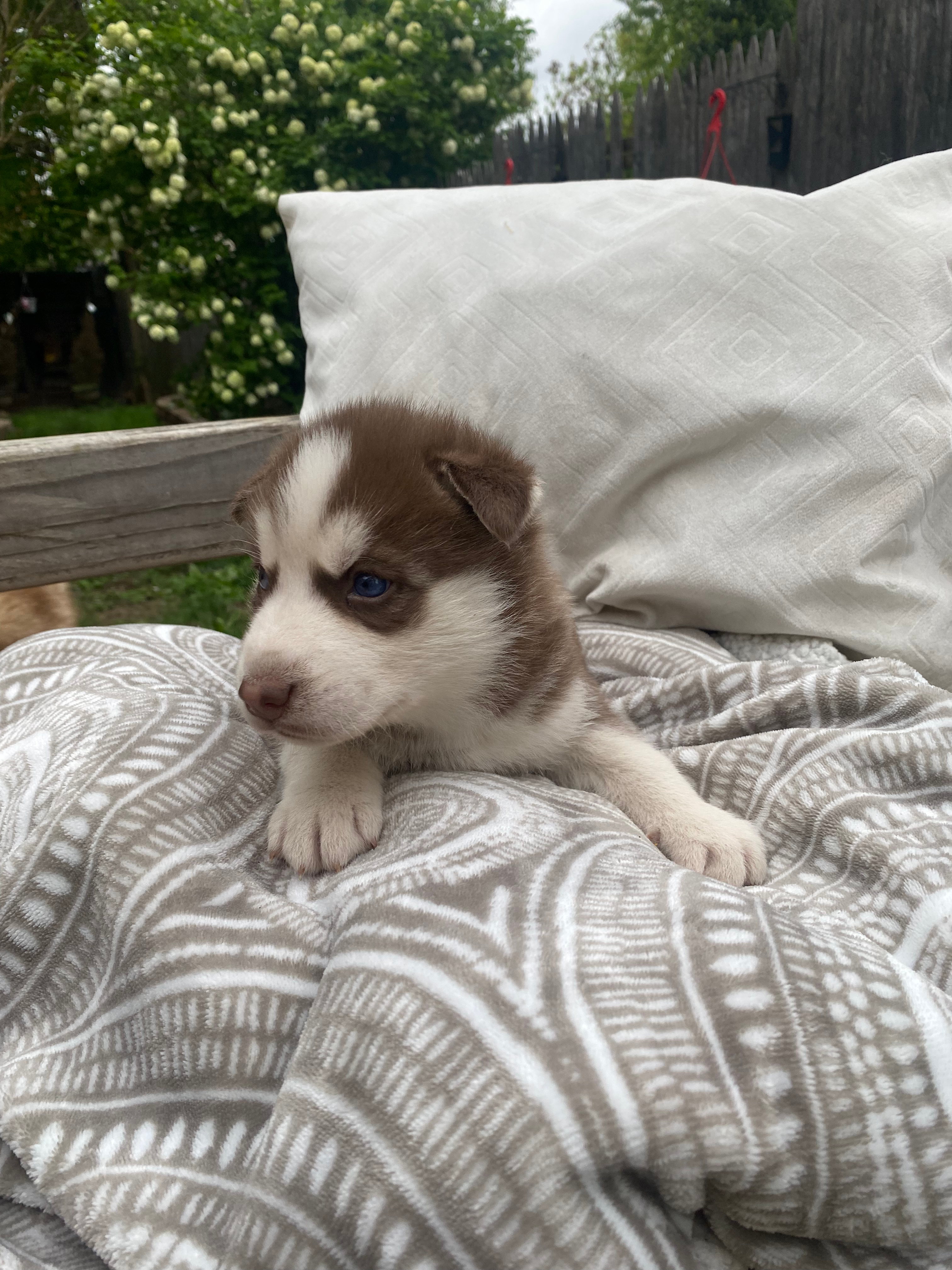 Klutch ** Reserved**