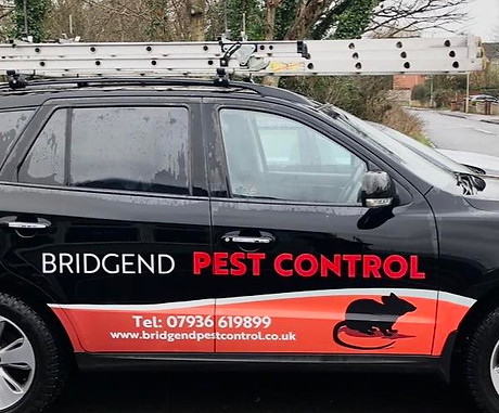 bpc car 2.jpg