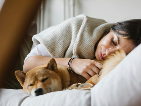 Why Do We Sleep? The Science Behind Our Need for Rest