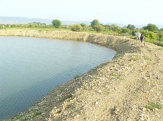 Johads of Rajasthan, Haryana, Punjab, and Western Uttar Pradesh