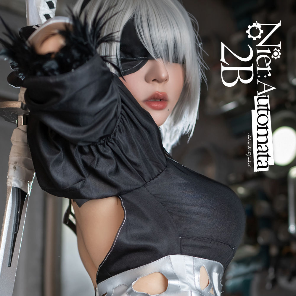 Photobook【Nier:Automata】2B