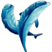 dolphins-1.gif