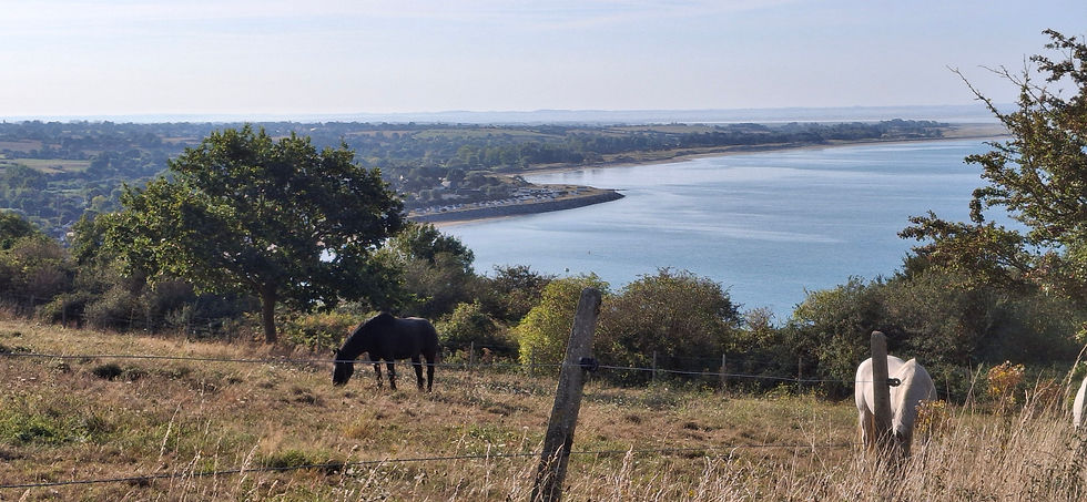 Août 2025, photo personnelle