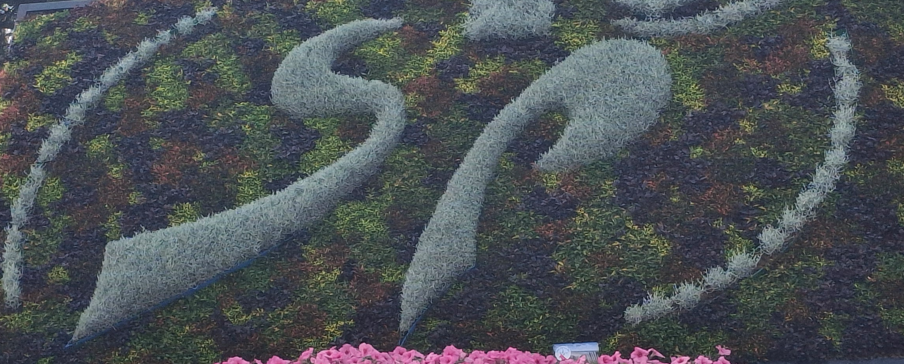 S comme Saint Pair sur Mer