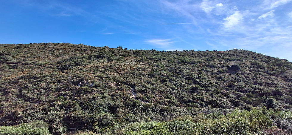 Août 2025, photo personnelle