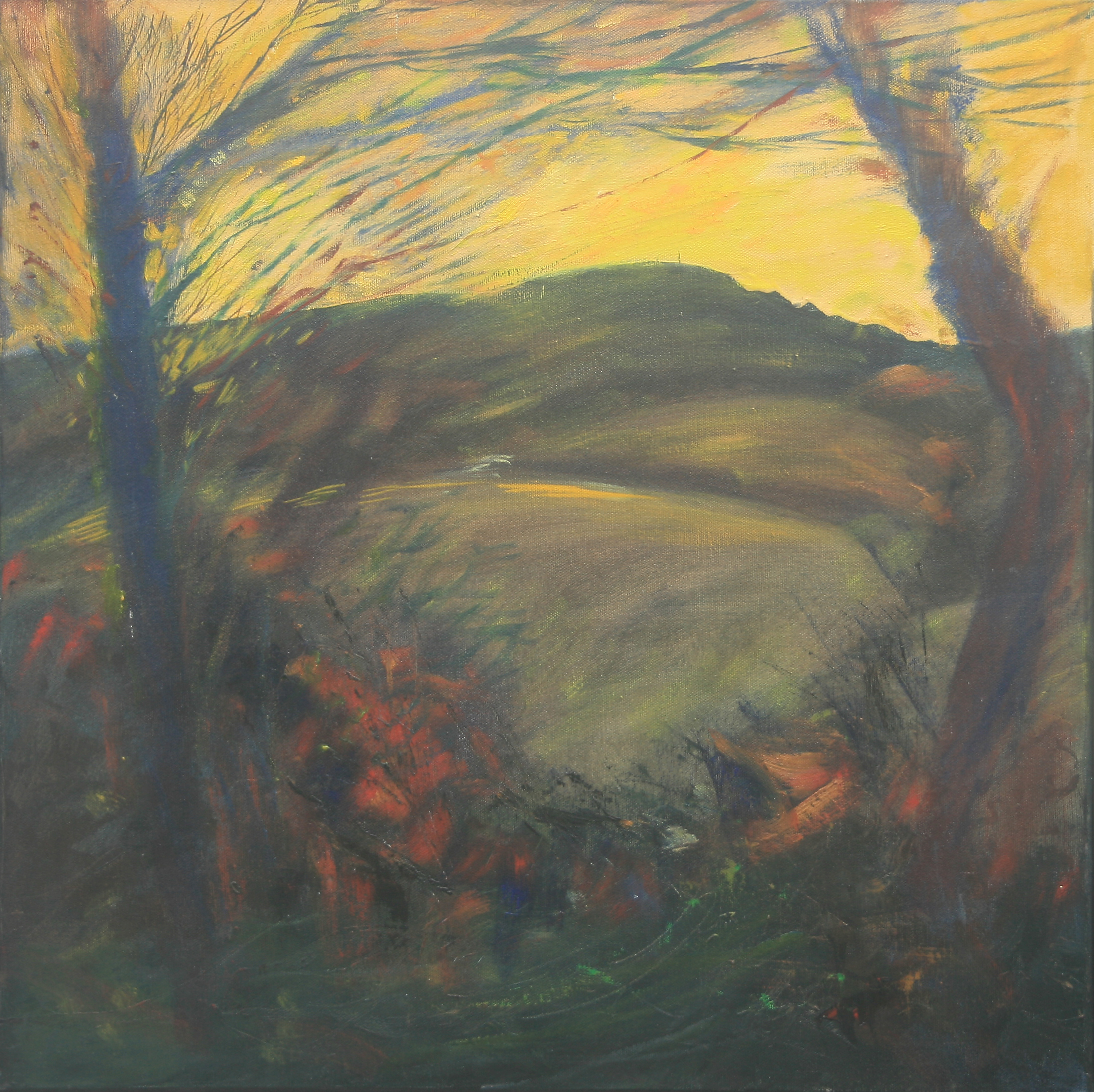 Farringford Fields