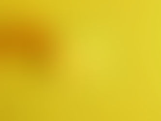 Planned Giving Envelopes