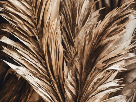 Bring Your Old Palms – Help Us Prepare for Ash Wednesday!