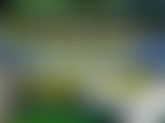 What Teams have Qualified for the FIFA 2026 World Cup so far?