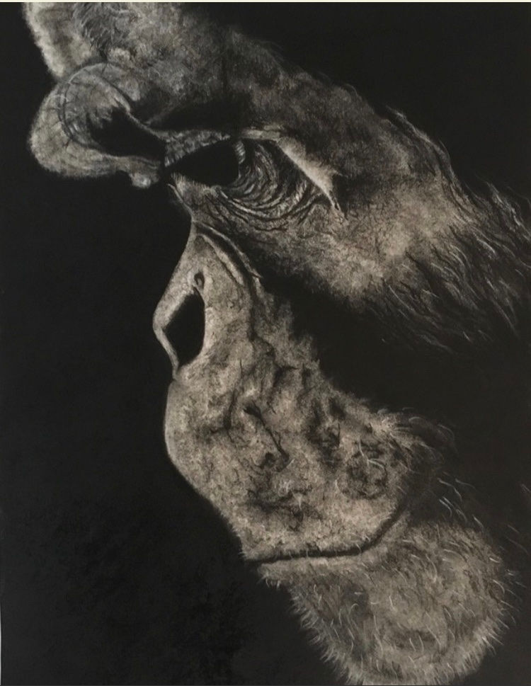 Loss  11"x14"