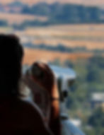 1987_longue vue.jpg