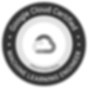 Google Cloud Certified – Professional Machine Learning Engineer