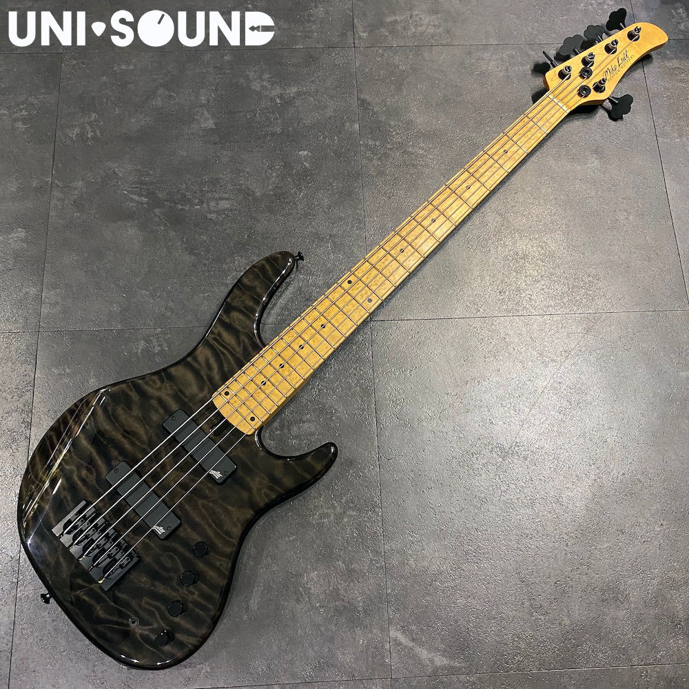 Mike Lull Modern 5 / Aguilar DCB