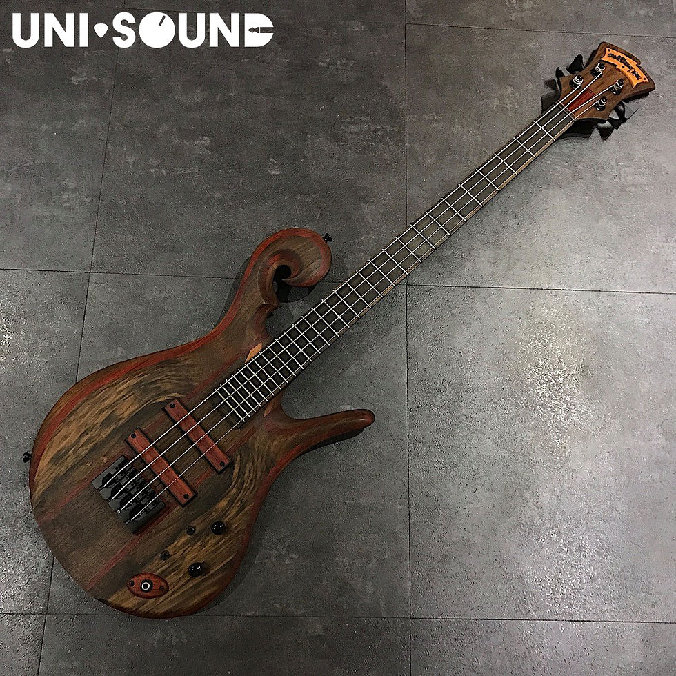 Carl Thompson 4 Strings