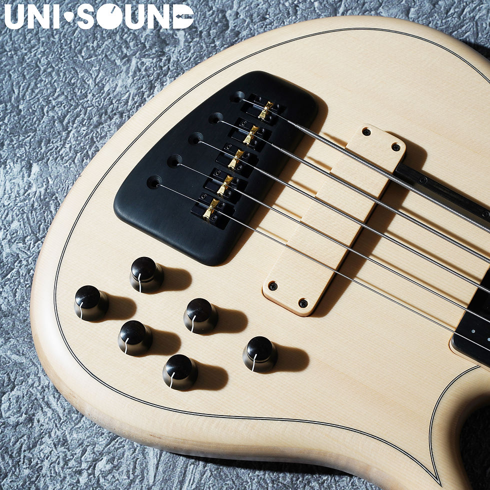 Thumbnail: F-Bass AC-Signature 5 - Natural