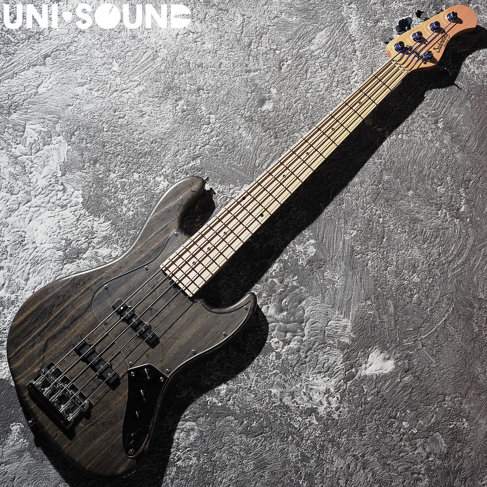 Sadowsky MetroLine 21-Fret Vintage J5 Bass - Nirvana Black Trans Satin