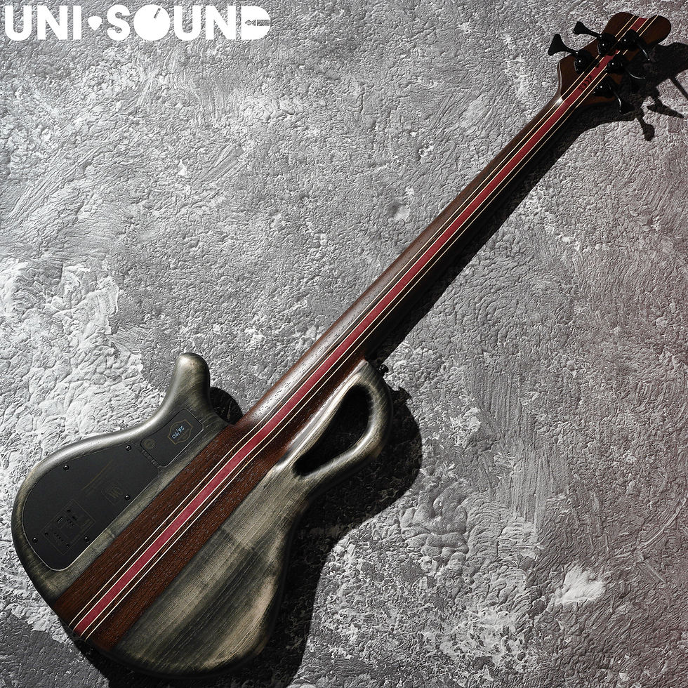 Thumbnail: Mayones Caledonius 5 - NAMM 2026