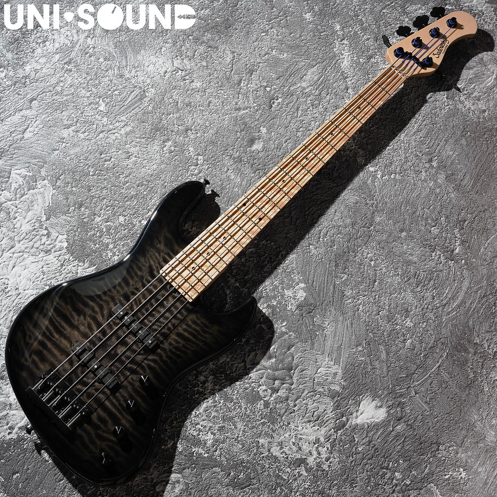Sadowsky Customshop Series 21-Fret Standard 5-String - Nirvana Black Burst