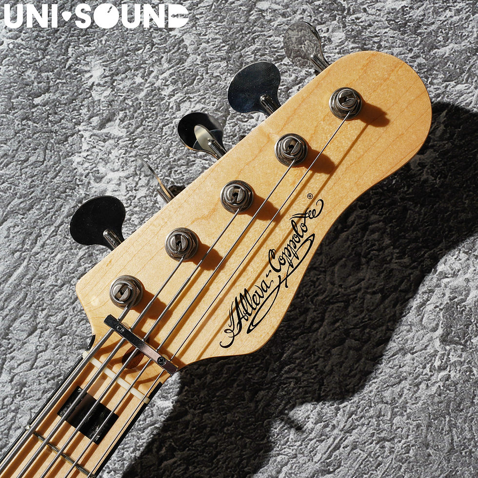 Thumbnail: Alleva Coppolo RA5 Deluxe - Midnight Black Flake - Professor Finish - 2022