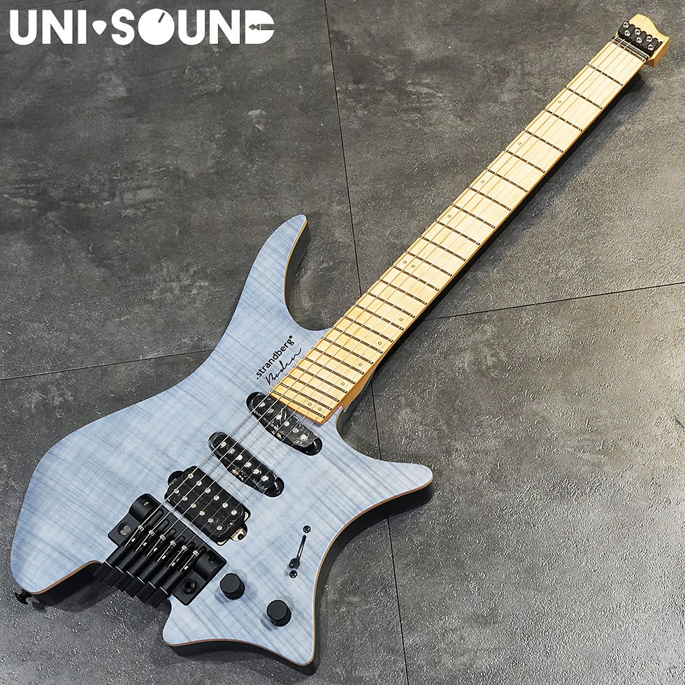 Strandberg Boden Standard NX6 Tremolo Blue