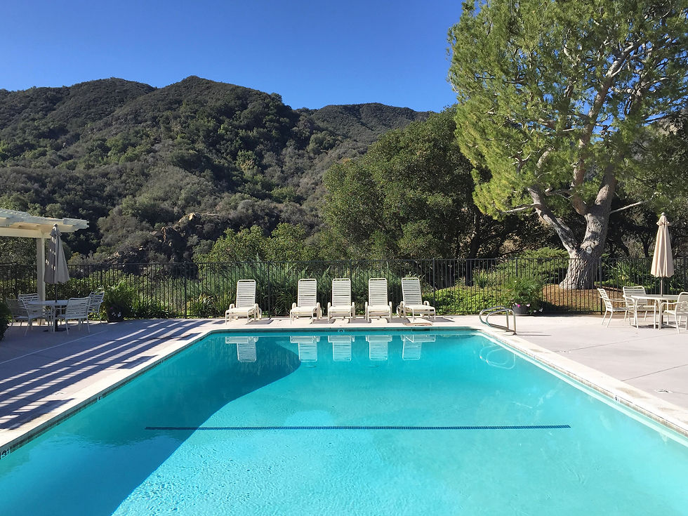 The Woodies (Palisades HOA 2) brodiedizgun