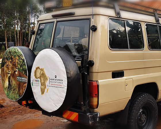One of Safari Vehicles