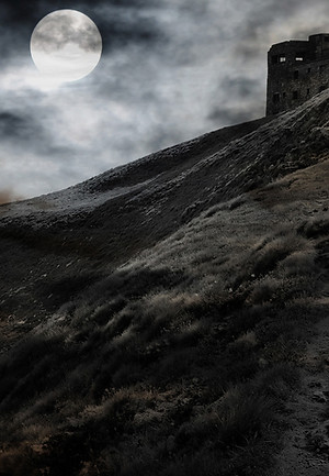 Moonlit Fortress