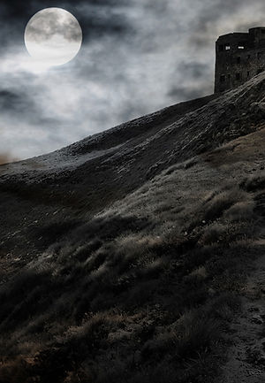 Moonlit Fortress
