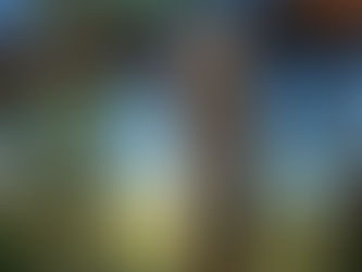 Les païens d'aujourd'hui marchent-ils ensemble ?