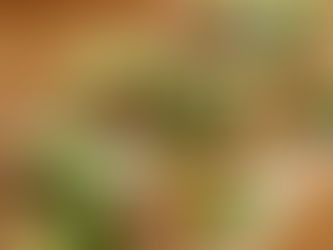 February Favorites: The Best Catering Options From A‑Rooted Elevated Catering