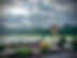 IMG_7002.jpeg