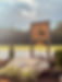 IMG_7009.jpeg