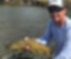 Smallmouth Bass New River