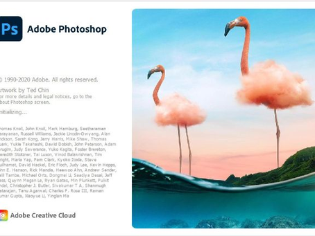 Photoshop 2021 Cho Người Mới Và Dân Thiết Kế: Hướng Dẫn Chọn Bản Cài An Toàn