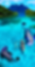Scenic Perspective of Tropical Island while a figure swims with giant sea creatures.