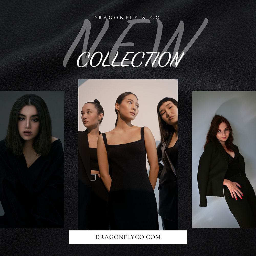 Dragonfly & Co. Promotion