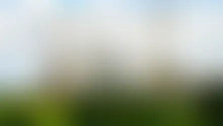 Why Invest in 2 & 3 BHK Apartments in Bangalore?