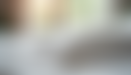 Ensuring Comfort, Safety, and Quality: The Napdoze Commitment to Excellence