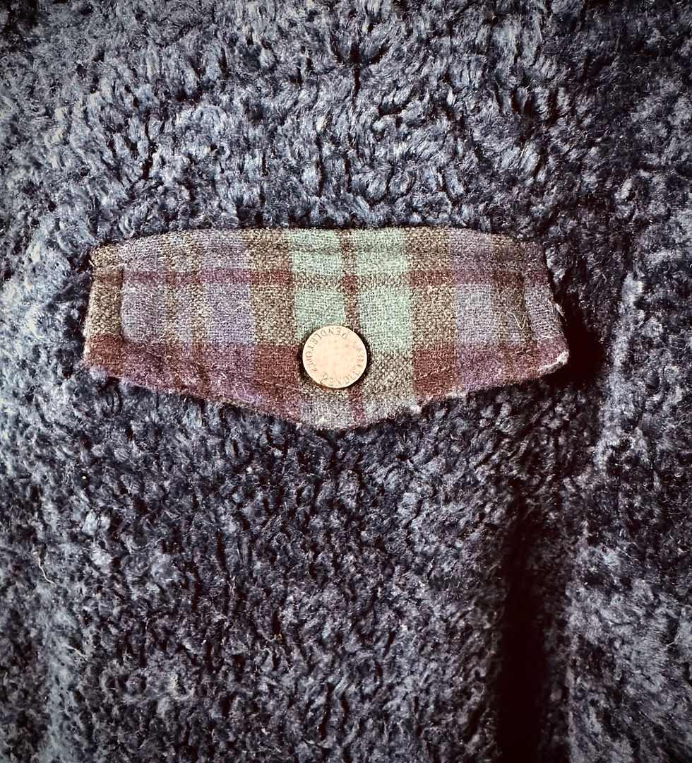 Miniaturbild: Pendleton Wool Blend Fuzzy Sherpa Blue Plaid Zip Up 