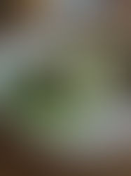 Köstlichkeiten von heute