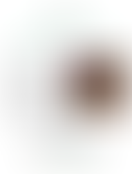 Ein besonderer Abend im Sahnehäubchen am Freitag, 10. Januar 2025