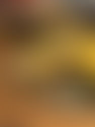 Was gibt es heute für leckeren Kuchen?